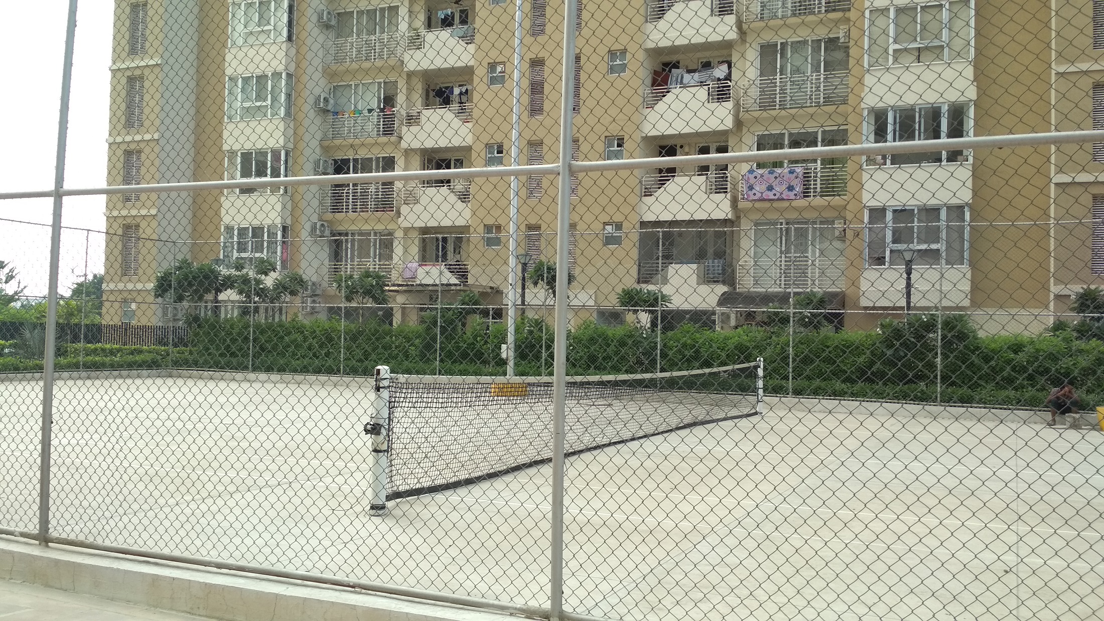 JLPL Falcon View